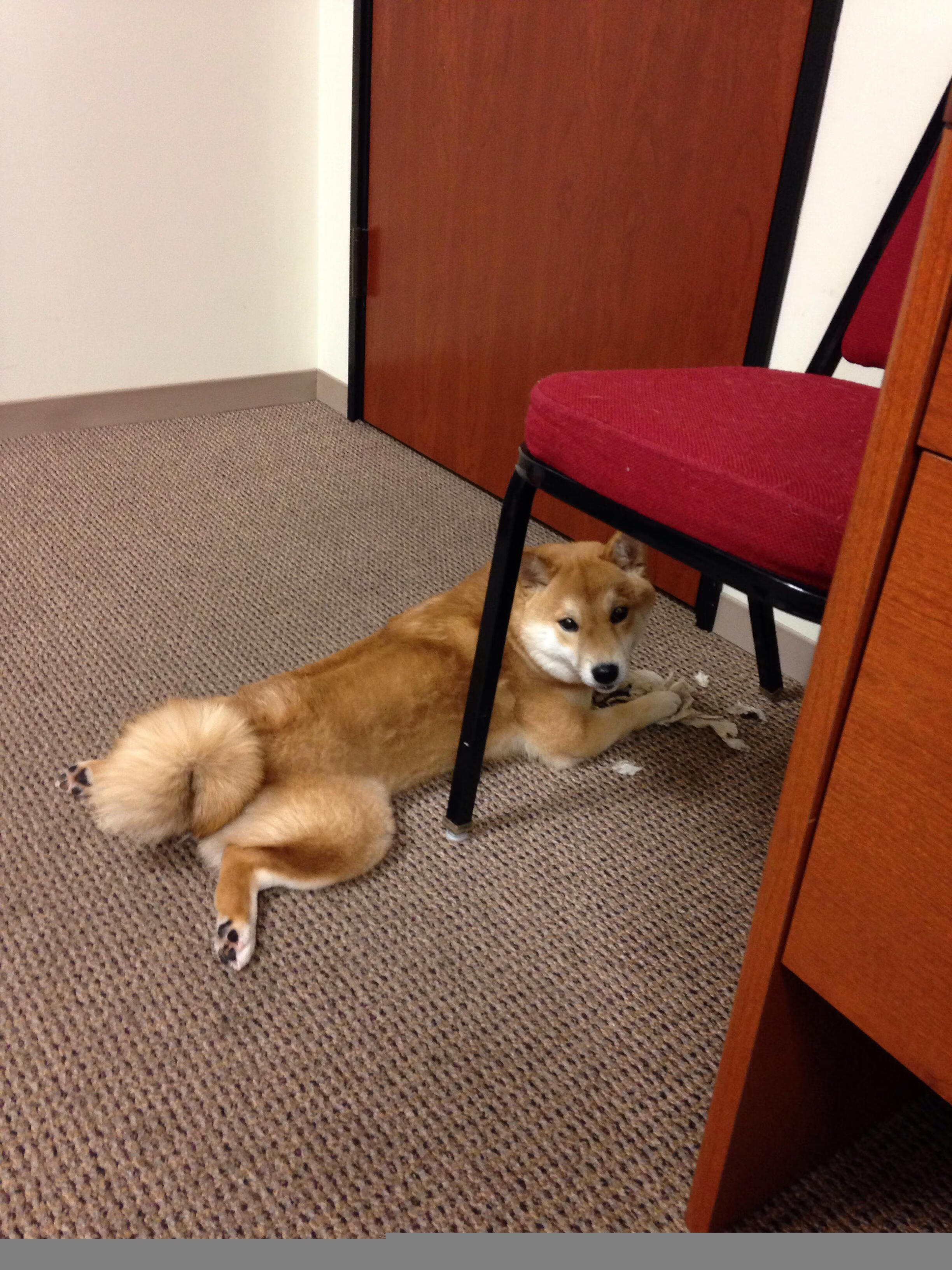 欧洲杯决赛：点球大战中逆转的经典时刻，欧洲杯决赛点球大战完整版